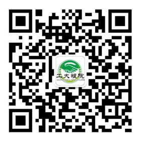 小程序開發定制的公司