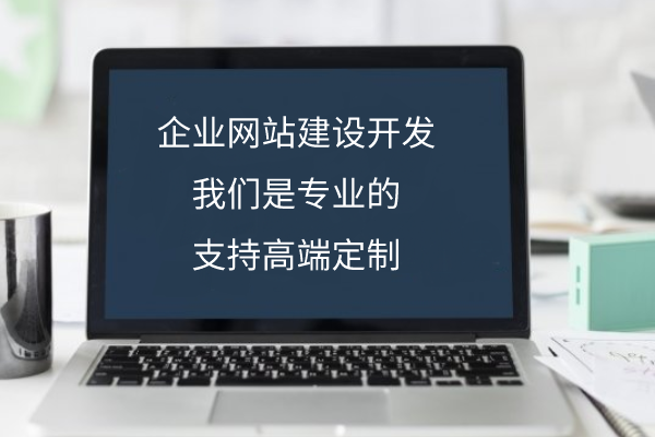 企業網站建設開發